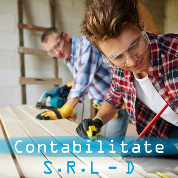 Contabilitate S.R.L.-D. – Societate cu raspundere limitata – debutant